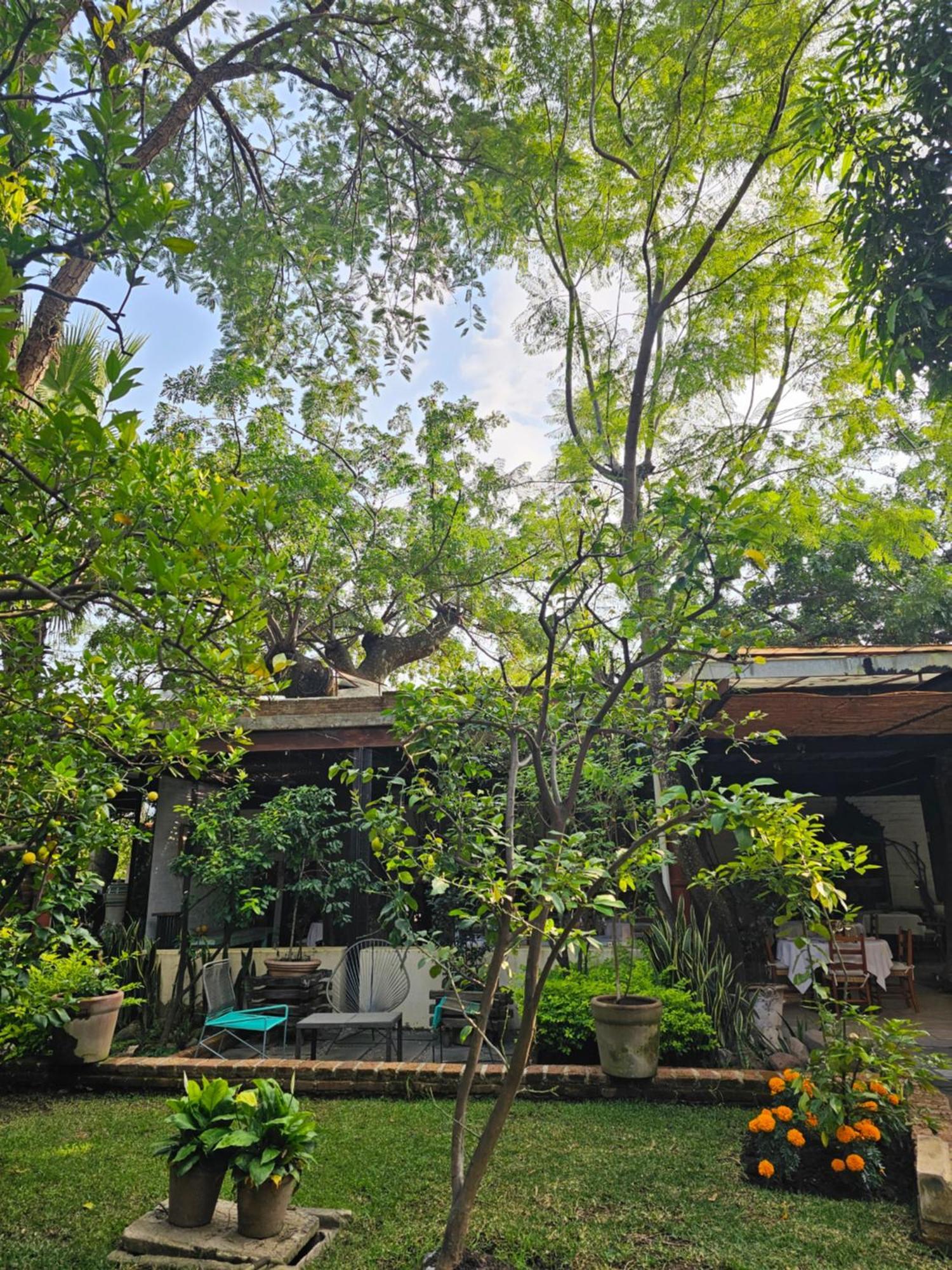 Отель Casa Limon Малиналько Экстерьер фото
